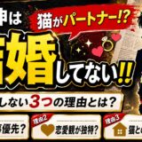 【猫がパートナーか!?】清水伸は結婚してない!!結婚しない3つの理由とは!?